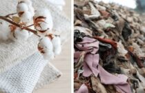 New Technical Specification Supports Responsible Textile Sourcing
