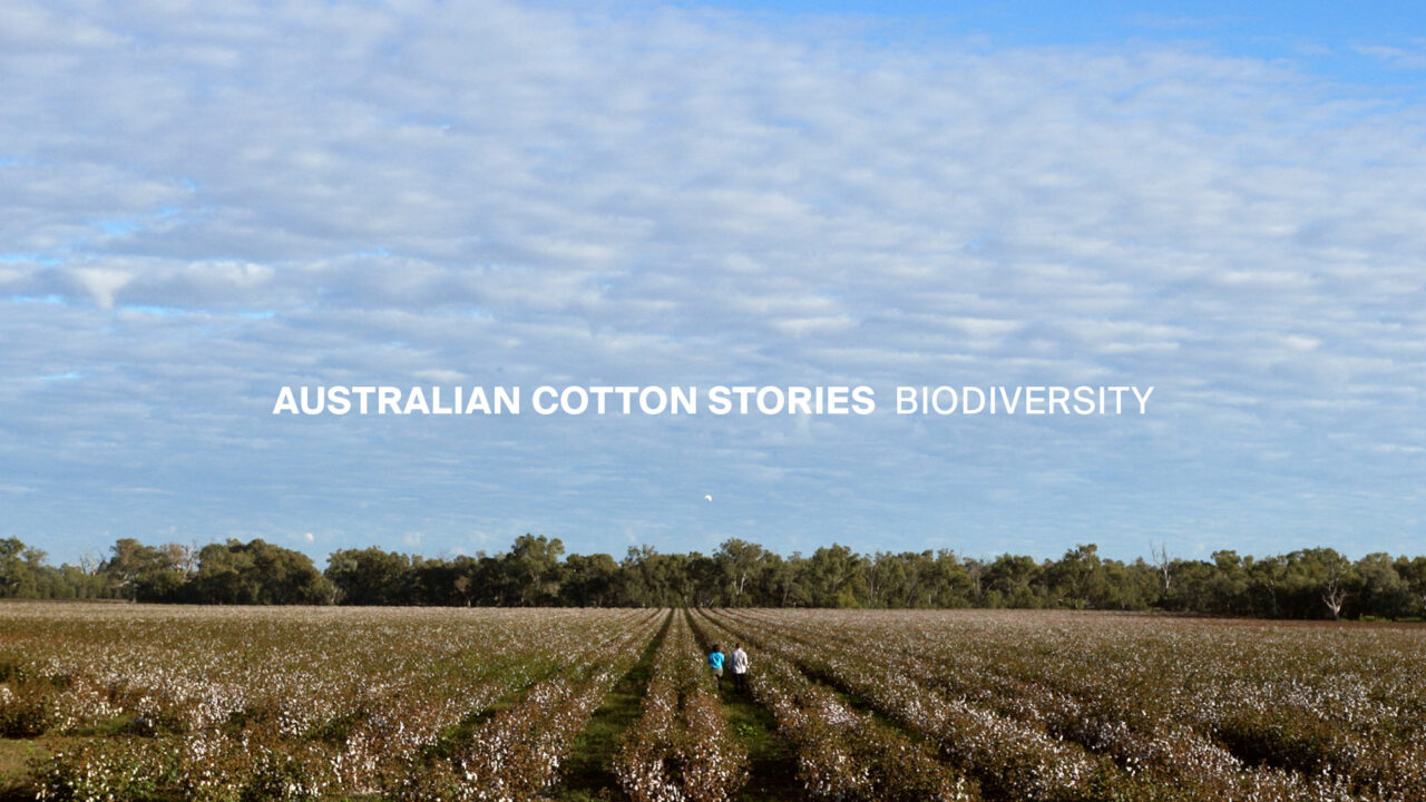 Cotton Australia Launches ‘Australian Cotton Stories’ - A Behind the Scenes Video Series
