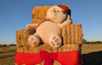 The Year that Was - Highlights from 2025