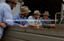 Australian Cotton Stories: Farming Families