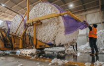 Understanding the Current Market - Is There a Shortage of Australian Cotton?