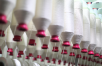 Cotton in a Changing Global Fibre Market