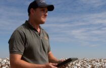 Better Cotton Initiative Surpasses Traceability Milestone