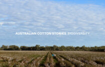 Cotton Australia Launches New Video Series - ‘Australian Cotton Stories’
