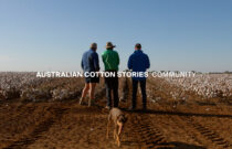Australian Cotton Stories: More Than a Crop - It’s a Community.