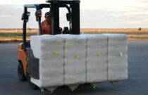 Global Cotton Market Outlook: What Brands Need to Know
