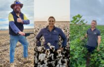 Celebrating the Next Generation of Cotton Industry Leaders