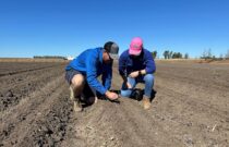 Planting Begins for 2025/26 Australian Cotton Season