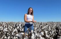 Happy World Cotton Day - Consumers and Brands Support Australian Cotton