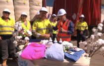 From Farm to Fashion: Aussie Cotton Took Centre Stage for World Cotton Day