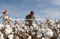 Australian Cotton Stories: How Growers Are Using Data to Drive Sustainability