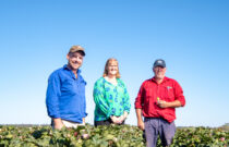 Voluntary cotton farm raises millions for community groups
