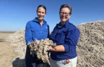 Transforming Waste into Sustainable Compost