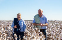 Australian Cotton x Pillow Talk: A Sustainable Partnership in Home Textiles