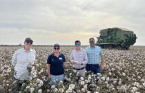 Learning Exchange Drives Cotton Collaboration