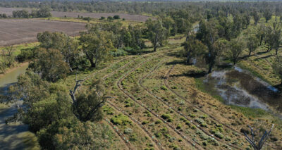 The Biodiversity Project