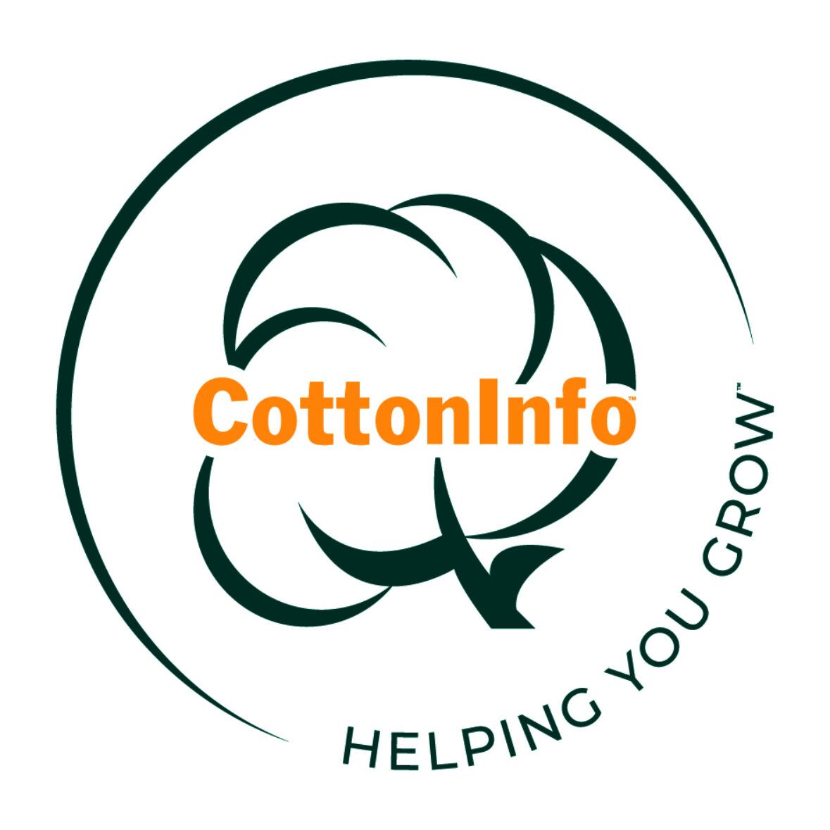 Cotton Info Master Logo And Tagline CMYK