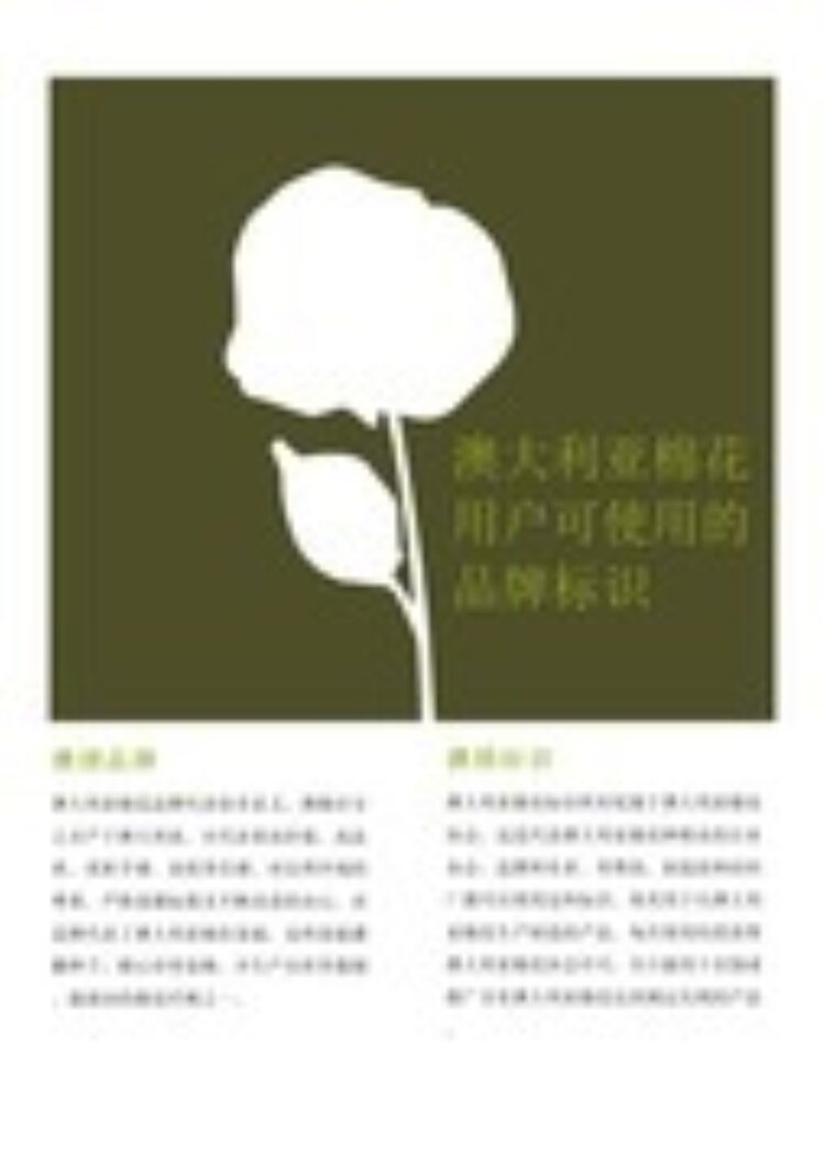 CHINESE FLYER