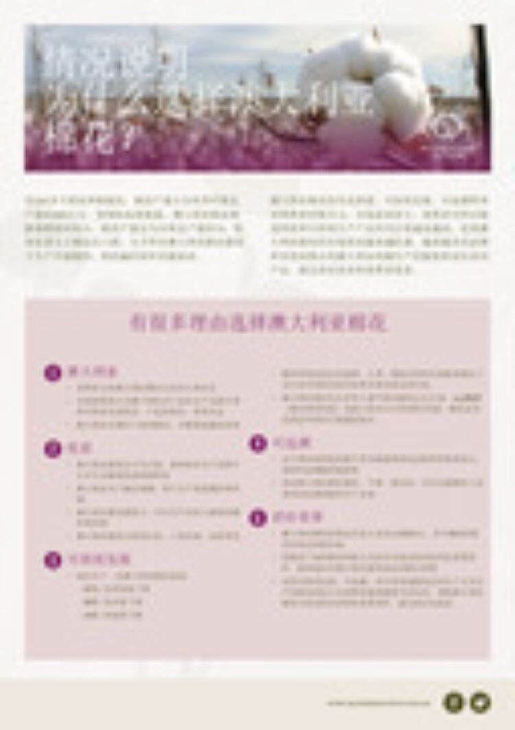 Why choose CA Fact Sheet CHINESE pg1 x180