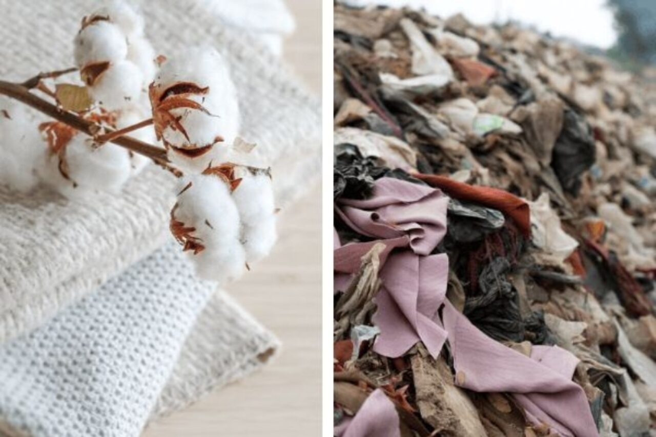 New Technical Specification Supports Responsible Textile Sourcing