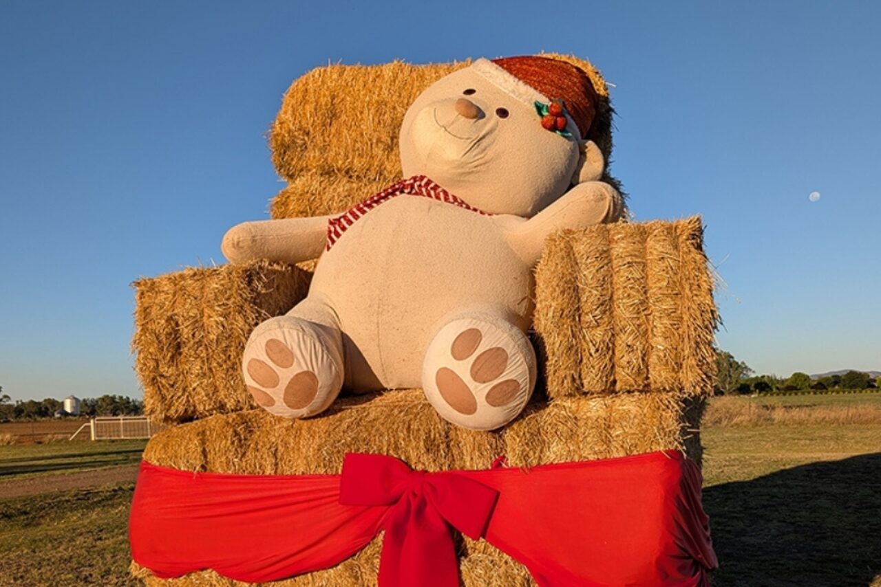 The Year that Was - Highlights from 2025