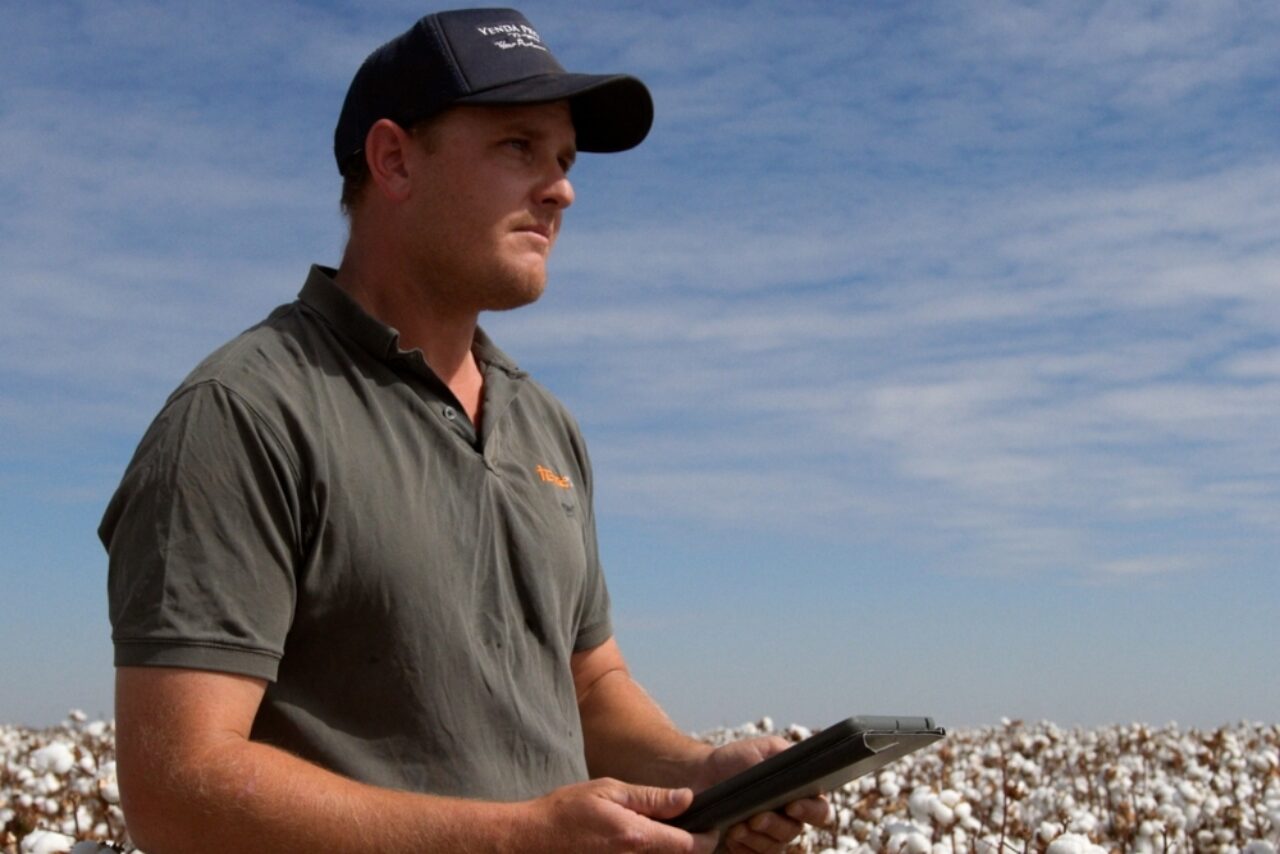 Over half of BCI Cotton now physically traceable, says Better Cotton Initiative