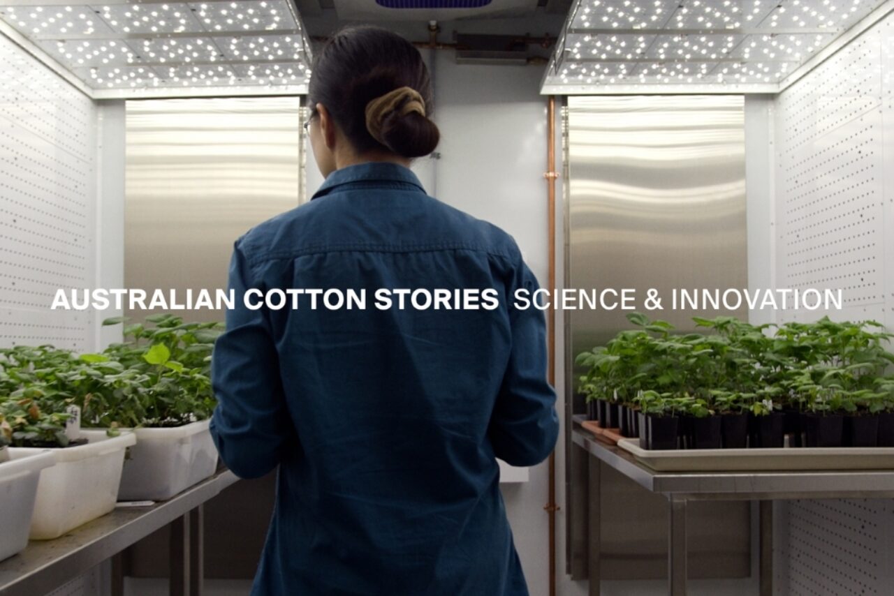 Australian Cotton Stories: The Research Powering Australia’s Cotton Industry
