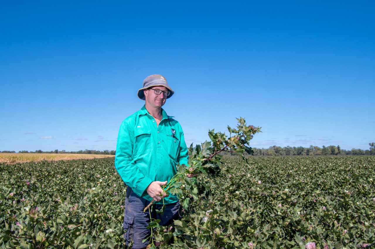 Ben Witham, Coleambally cotton farmer