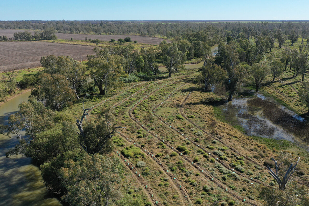 The Kahl family property in Wee Waa along the Namoi River