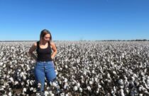 Australian Cotton Mark Reaches Millions of Consumers in 2025