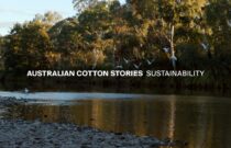 Australian Cotton Stories: Sustainability in the Field