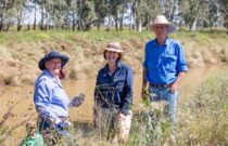Second Cotton Biodiversity Project Site Launched, with Country Road and Landcare Partnership