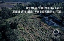 REGISTER NOW: limited places available for Cotton Australia Biodiversity Webinar