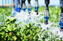More Crop per drop - Water use efficiency in Australian Cotton
