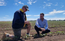 Aussie Cotton Season kicks off in Central Queensland