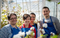 Breakthrough for Australian Researchers Working To Grow “future” Cotton