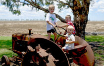 Your Last Minute 2025 Aussie Cotton Gift Ideas