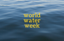 World Water Week Video from the Better Cotton Initiative