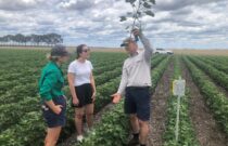 Better Cotton traceability manager visits amid global launch of traceability solution