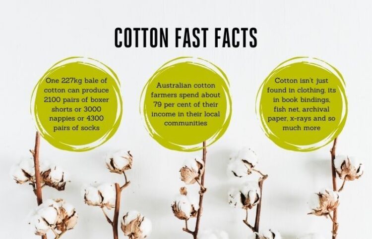 COTTON FAST FACTS