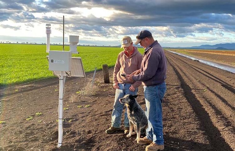 Jock and Dave Tudgey from Tudgey Farms Breeza1 copy