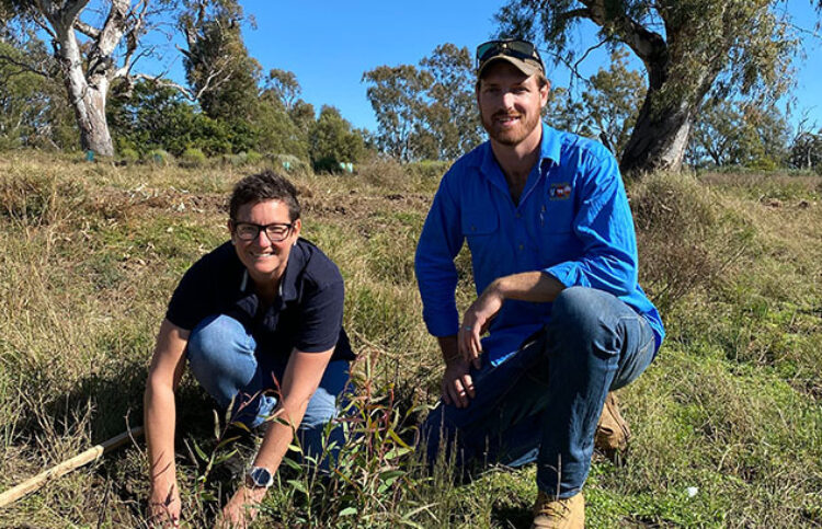 Australian Cotton  Tree Planting Continues On Kahl's Farm as Part of…