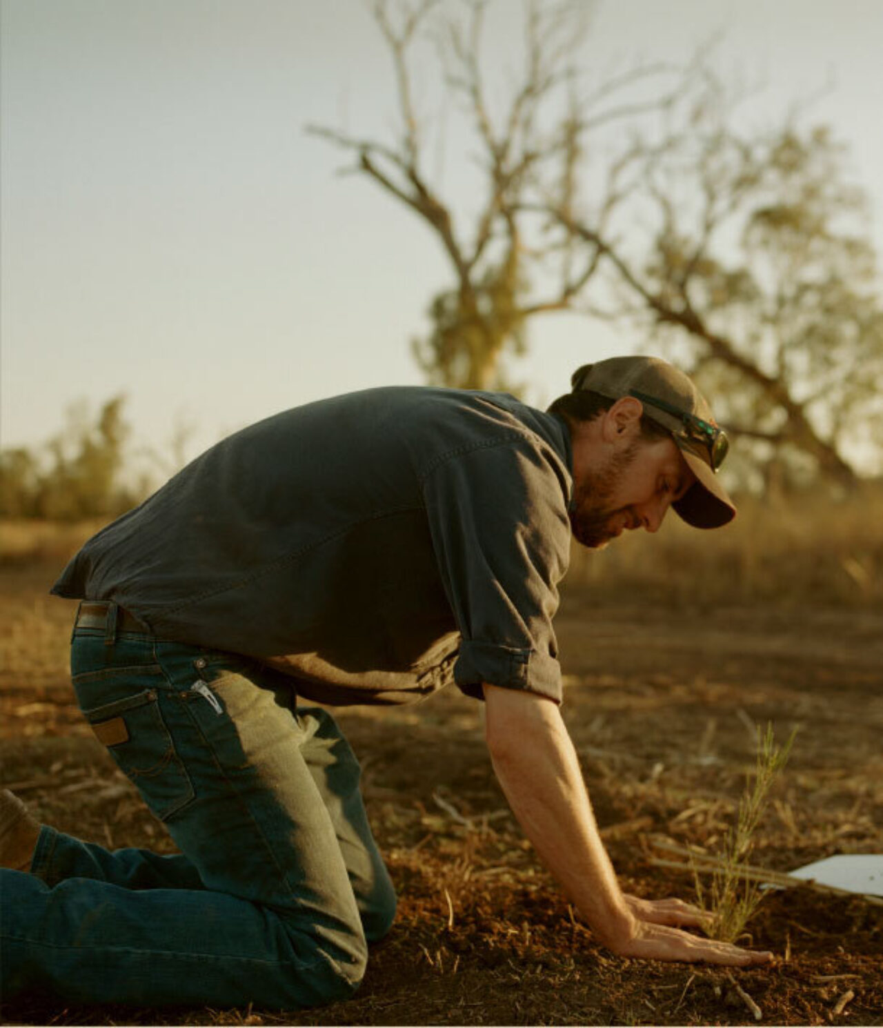 Country Road - Landcare Australia Landcare Australia